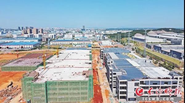 总投资约100亿元 比亚迪“刀片电池”年底12月15日前首条生产线试产